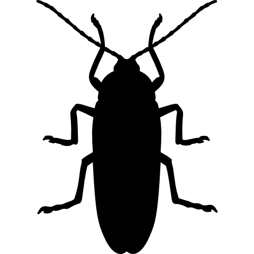 Cockroaches