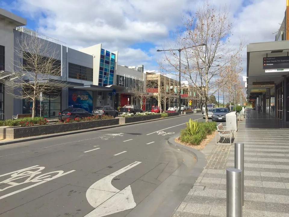 Pest control inspection in Point Cook