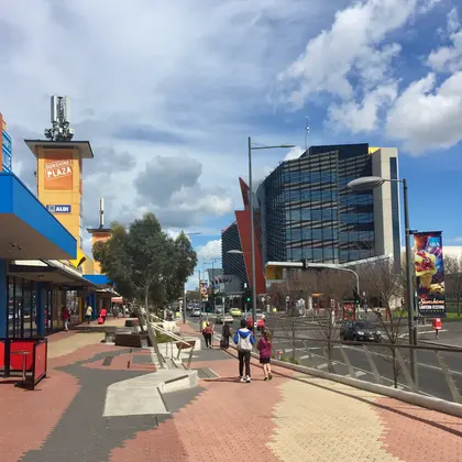 Pest control inspection in Sunshine